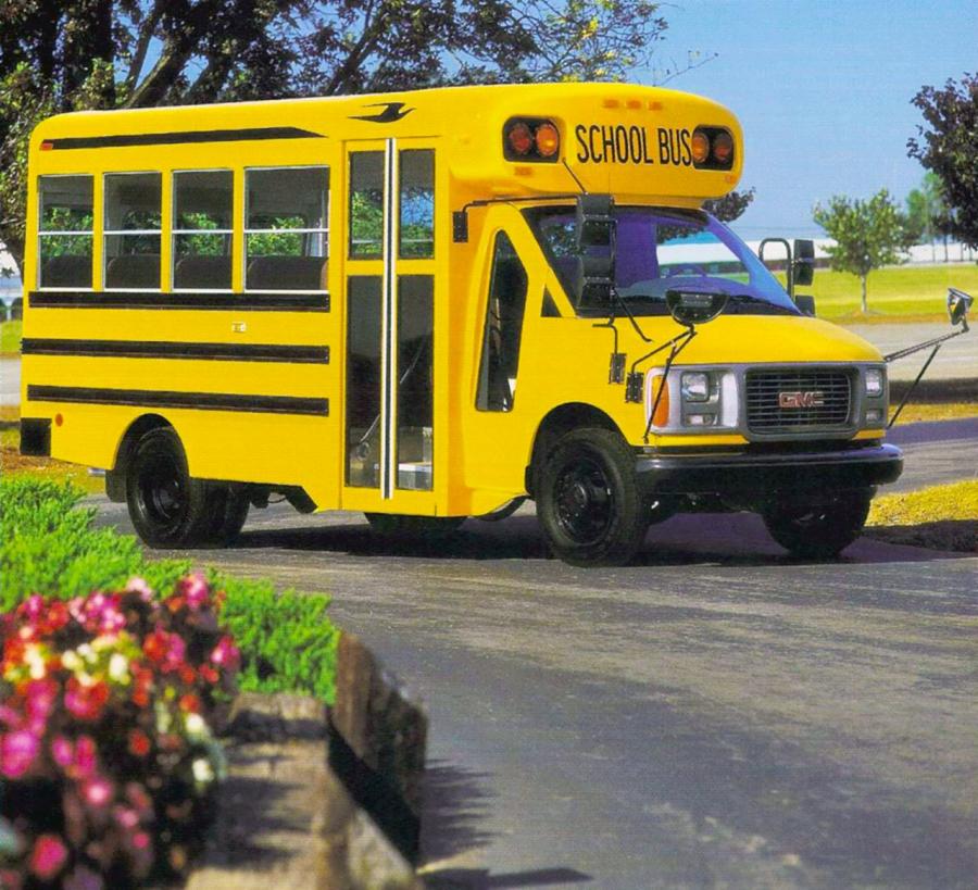  Blue Bird Micro Bird MB-IV School Bus 1994 года  (фото 1 из 1)
